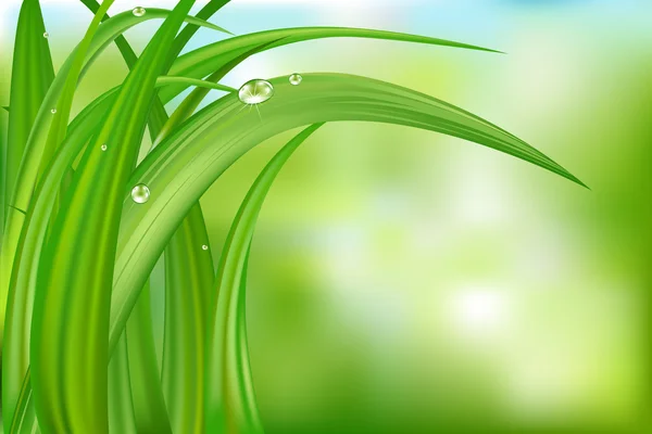 풀로 뒤덮인 녹색 배경 — 스톡 벡터