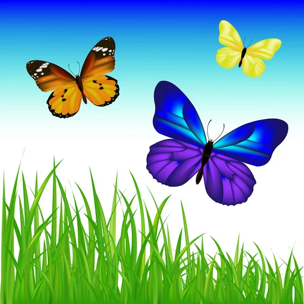 Schmetterlinge gesetzt — Stockvektor