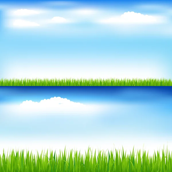 Groen gras en blauwe lucht — Stockvector