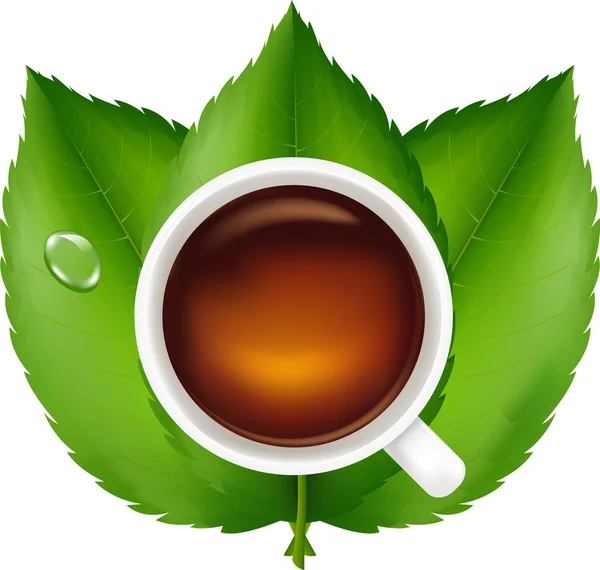 Tasse mit Tee und grünen Blättern — Stockvektor