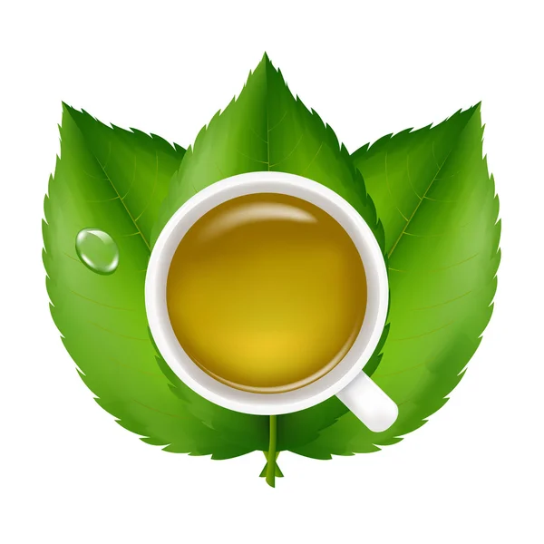 Yeşil çay — Stok Vektör