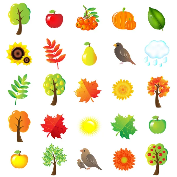 Podzimní symboly a prvky — Stockový vektor