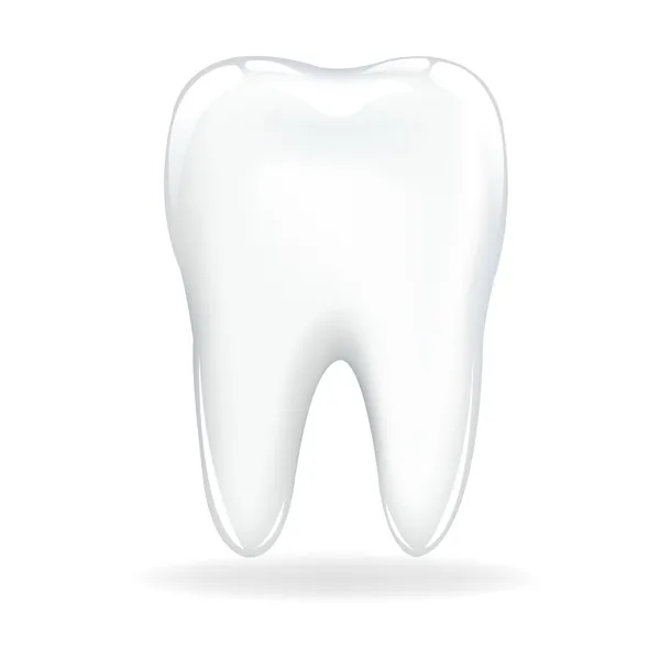 Dent — Image vectorielle