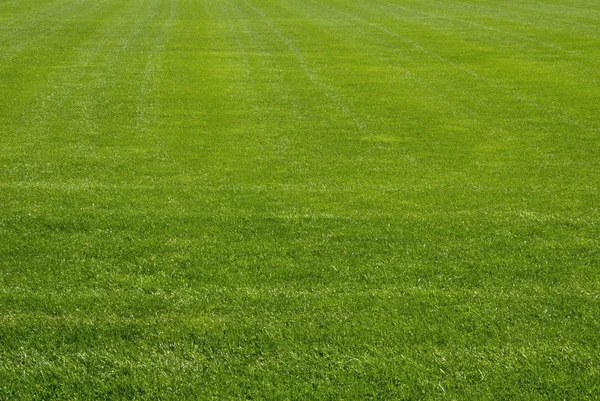 Mowed Lawn — Stock Photo, Image