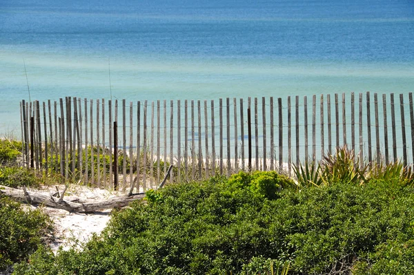 Gulf Shore sanddyner — Stockfoto