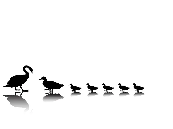 天鹅与鸭子的家庭 — 图库矢量图片
