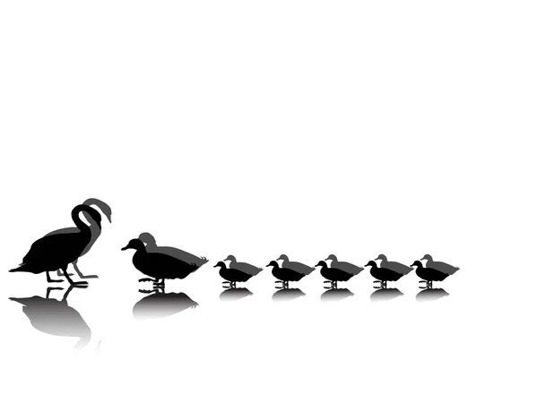 Cygne avec famille de canards — Image vectorielle
