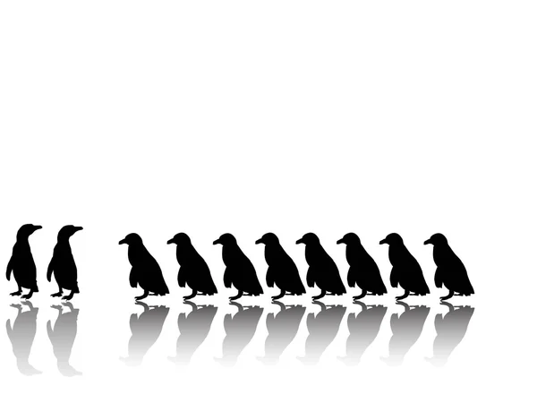 Belo grupo de pinguins — Vetor de Stock