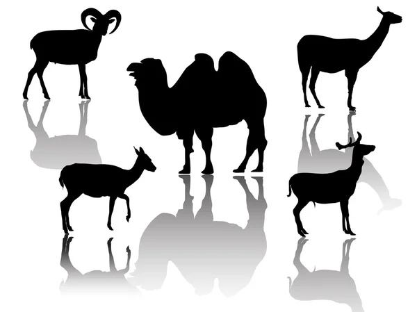 偶蹄類の動物の小さなグループ — ストックベクタ