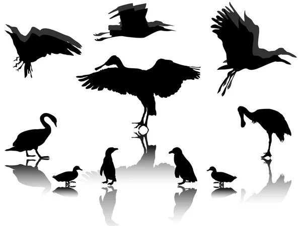 Vogel groep — Stockvector