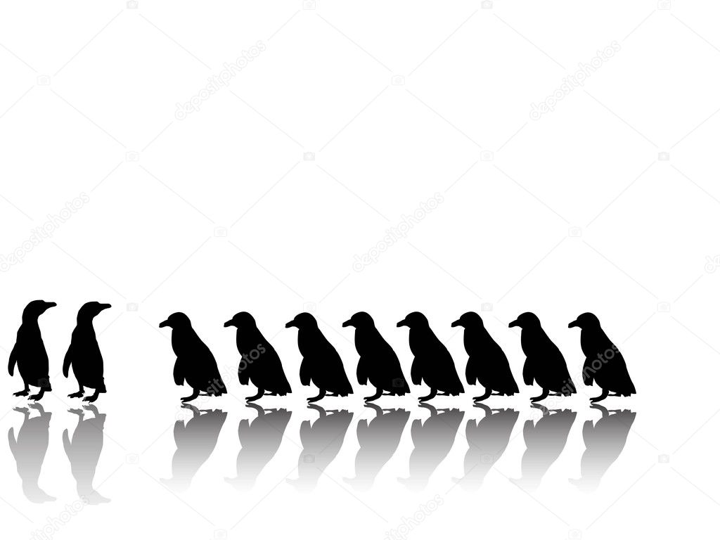 Nice penguin group