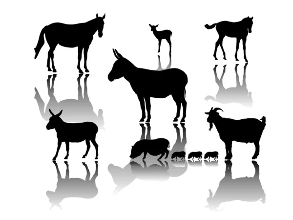 Фермерские животные с тенями — стоковый вектор