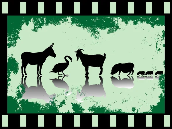 Starý filmový pás se zvířaty — Stock vektor