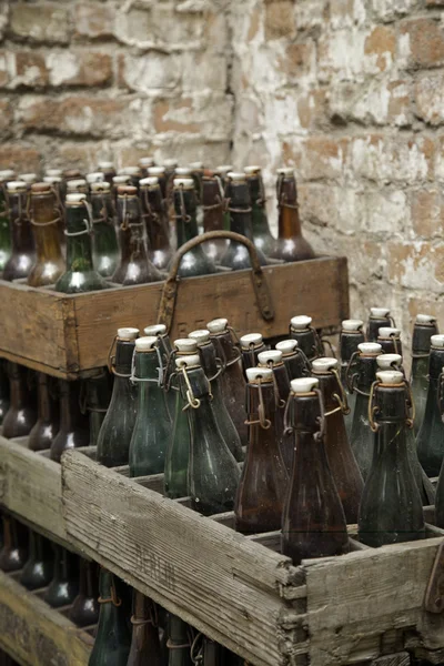 旧啤酒瓶 — 图库照片