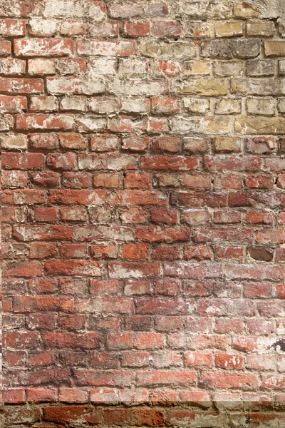 stock image Old brick wall