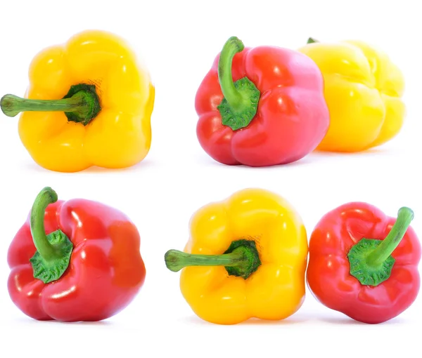 Foto gekleurde paprica — Stockfoto