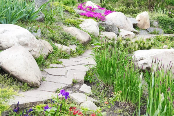 Gartengestaltung mit Steinen und Blumen (2) — Stockfoto