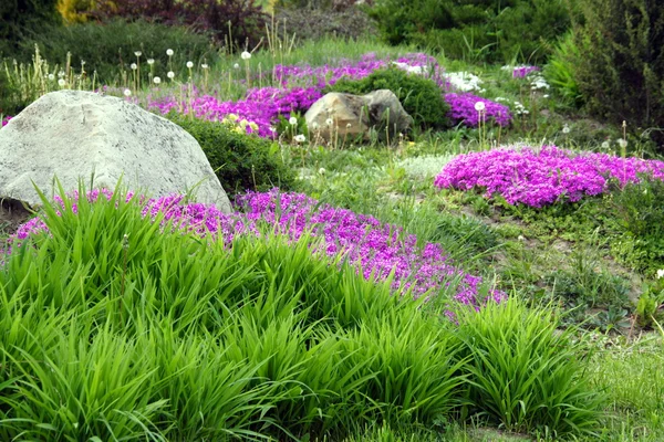 Дизайн сада с камнями и цветами (5) ) — стоковое фото