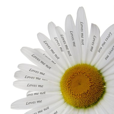 Loves Me or Not Chamomile clipart