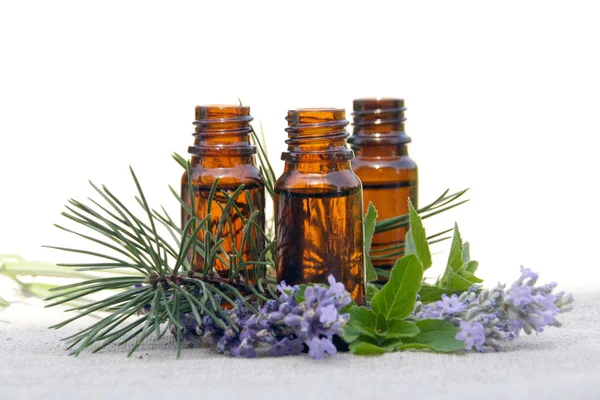 Aromaolja i flaskor med lavendel, tall och mynta — Stockfoto