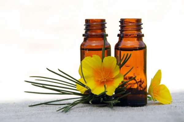 Óleo de aroma em garrafas com pinheiro e flor — Fotografia de Stock