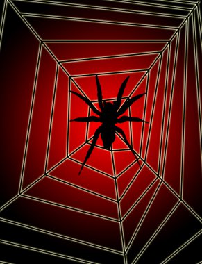 Spider On Web clipart