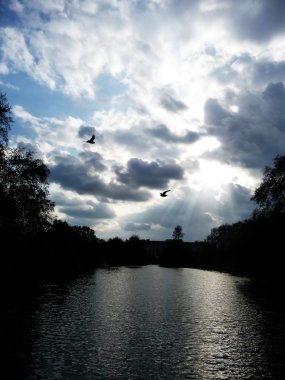 St James Park View