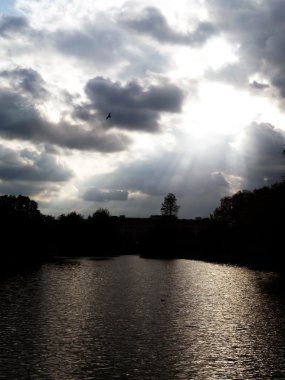 St James Park View