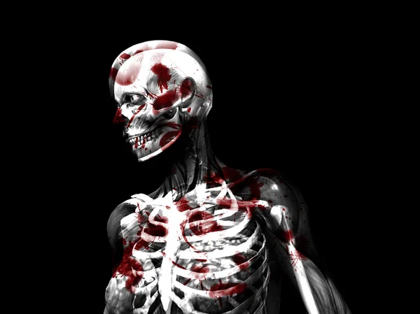 Anatomy Of Blood — Stock Photo, Image