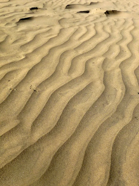 Gros plan des dunes de sable — Photo