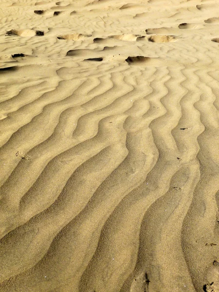 모래 언덕의 클로즈업 — 스톡 사진