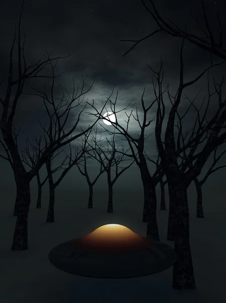 UFO az erdő — Stock Fotó