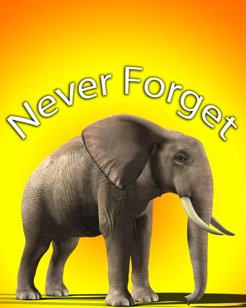 stock image Elephant That Never Forgets