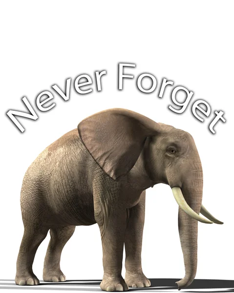 stock image Elephant That Never Forgets