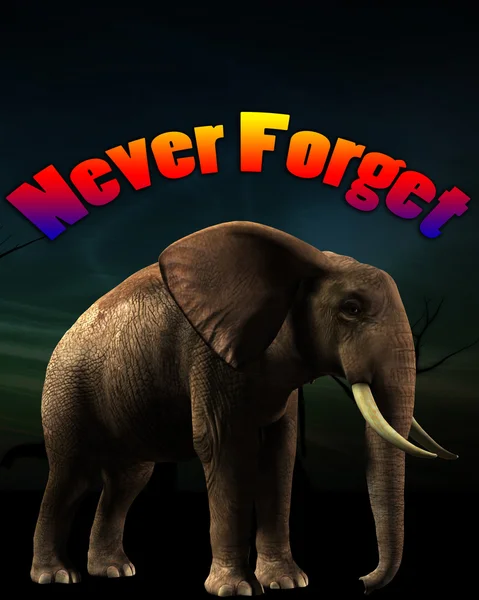 stock image Elephant That Never Forgets