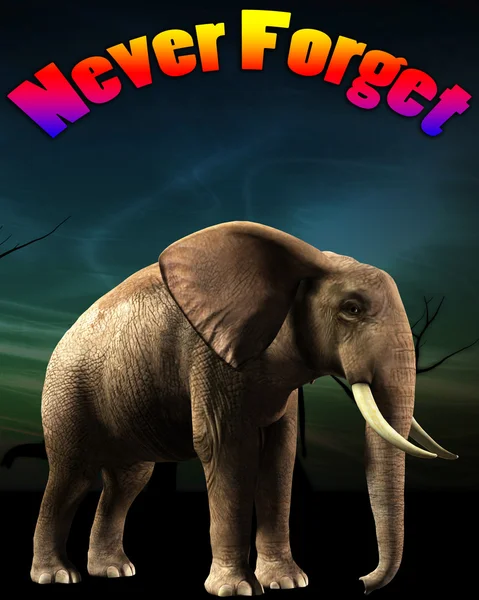 stock image Elephant That Never Forgets