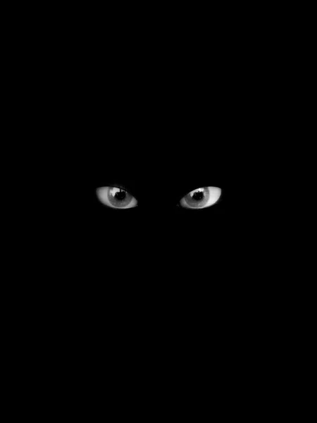 Olhos assustadores — Fotografia de Stock
