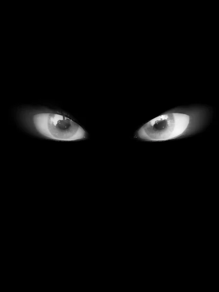 Strašidelné oči — Stock fotografie