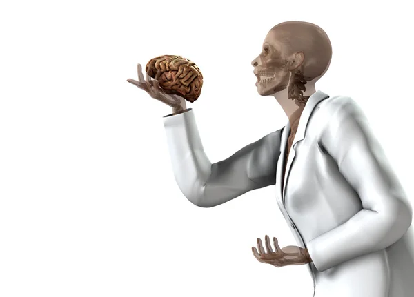 Anatomiczne kobiet trzyma jej mózgu — Zdjęcie stockowe
