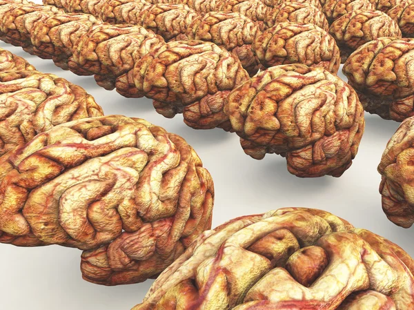 Many Brains — Stock Photo, Image