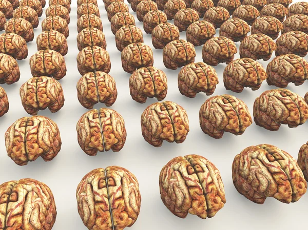 หลายสมอง — ภาพถ่ายสต็อก