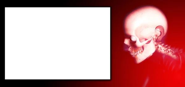 Bone Head With Blank Sign — Stock Photo, Image
