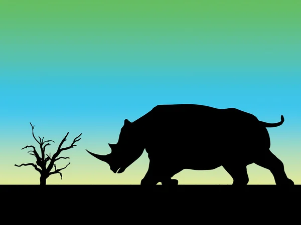 Rhino sziluett — Stock Fotó