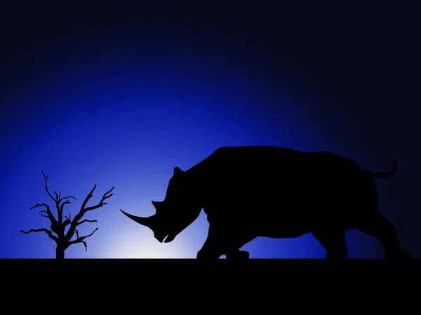 Sílhueta rinoceronte — Fotografia de Stock