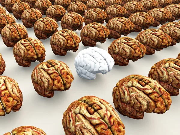 Odd Brain Out — Stock Photo, Image
