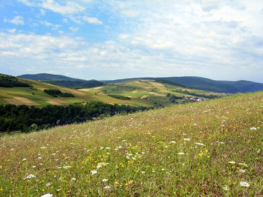 Güney Polonya'daki bir manzara