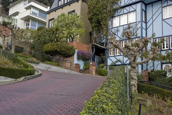 stock image Lombard street in San Francisco