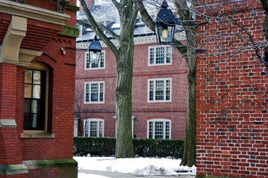 Harvard kampüs