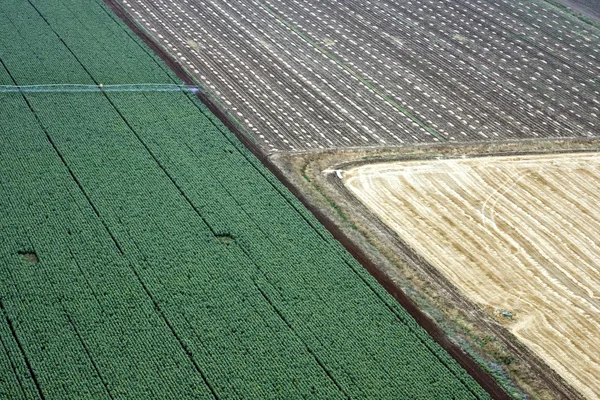 Εναέρια τοπίο με γεωργικό πεδίο — Φωτογραφία Αρχείου