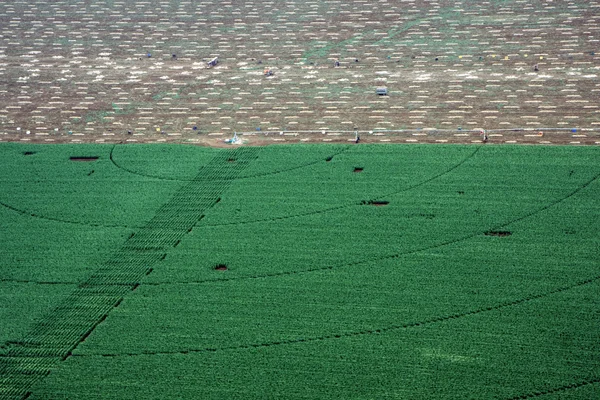 農村フィールドの空中風景 — ストック写真